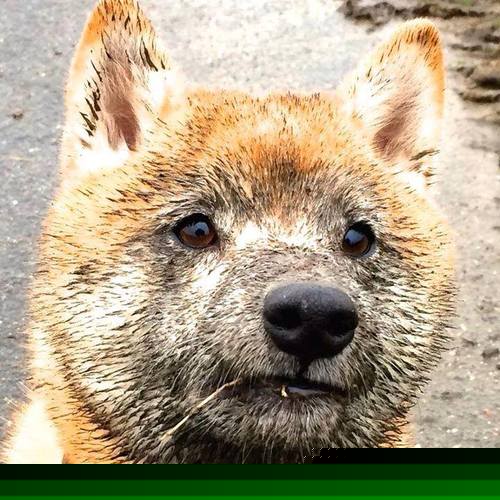 开云体育入口-当怀疑者闭嘴，班凯罗东决蜕变之夜