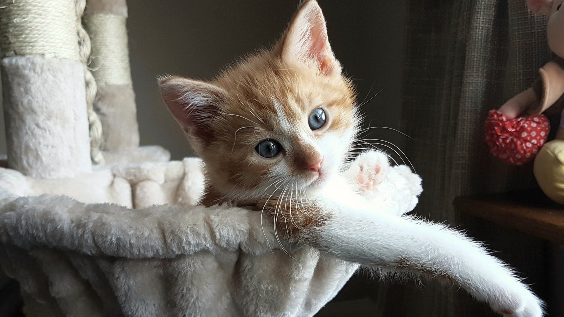 开云体育登录-永不掉线的引擎，布鲁诺如何用稳定为德甲争冠夜写下终极注脚