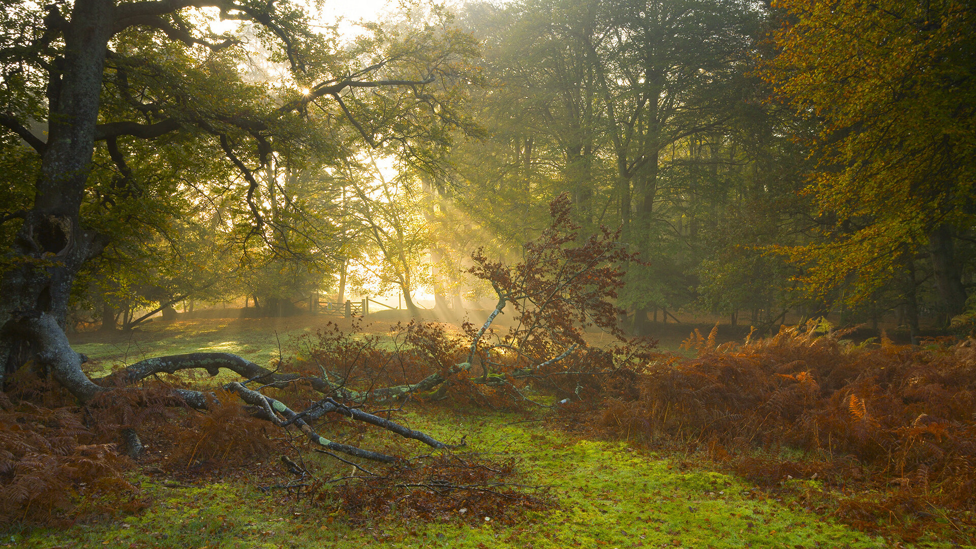 开云体育中国-冰蓝屏障，卡塔尔如何植入阿拉巴节奏基因强势晋级阿根廷