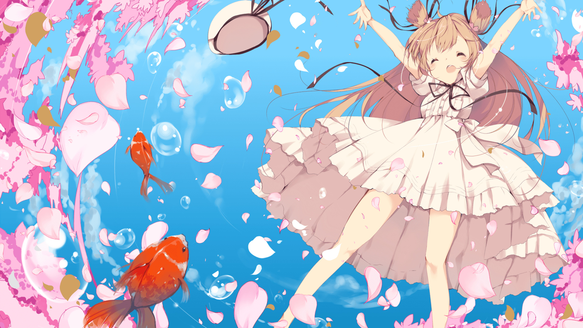 哈弗茨，澳洲大陆的逆流者