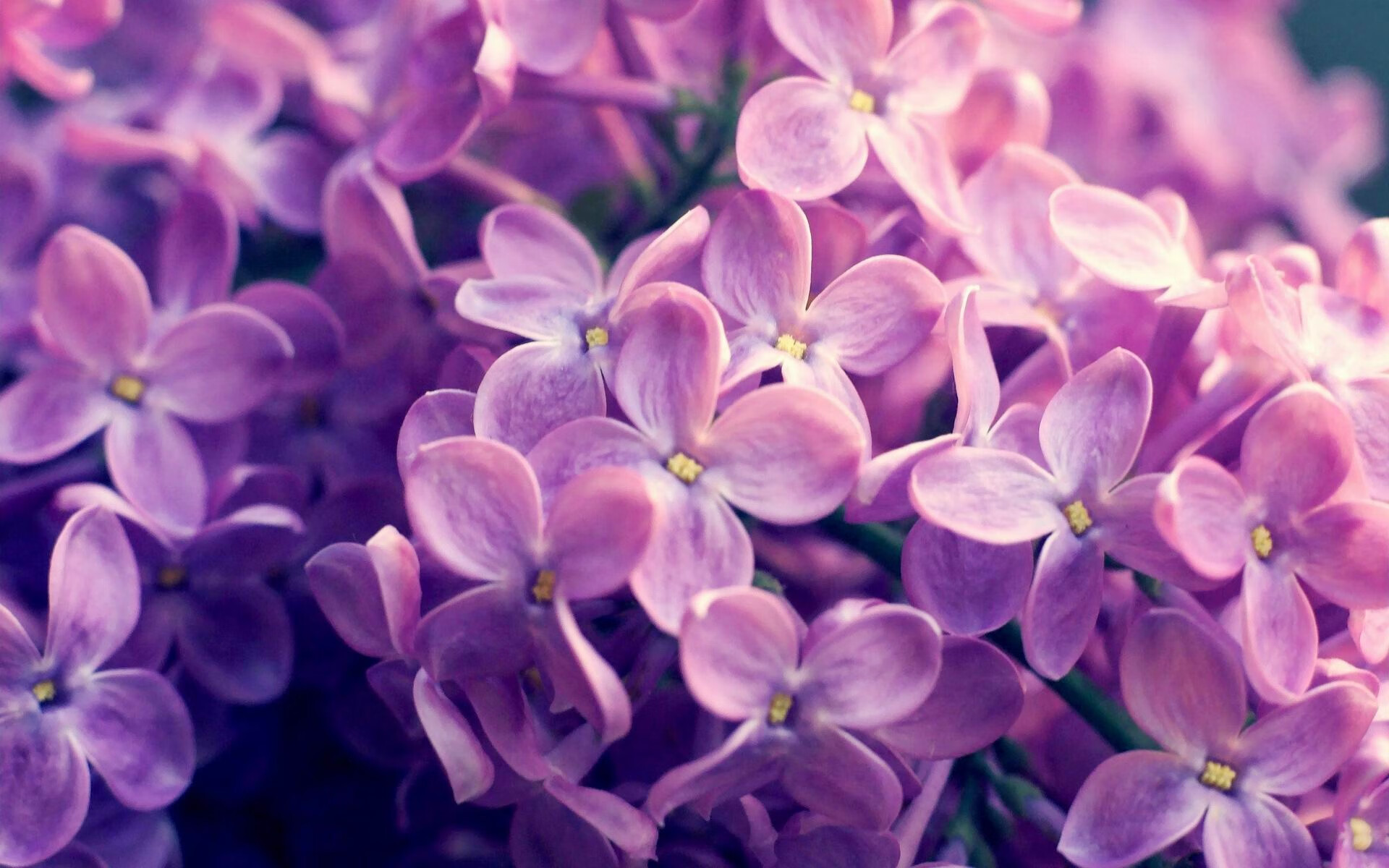 窒息铁幕的唯一裂缝，特奥如何用攻防两端统治强行终结突尼斯