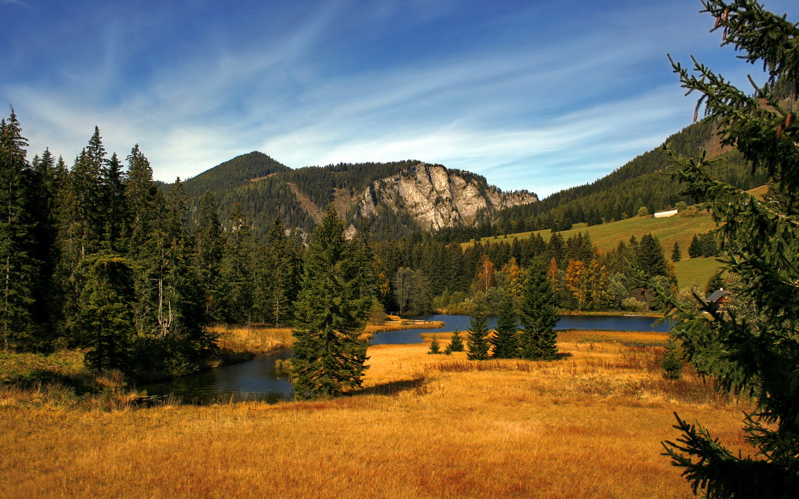 开云体育中国-迪马利亚持续制造杀伤，皇家社会3-0碾压中国球队，一场技术与战术的完胜