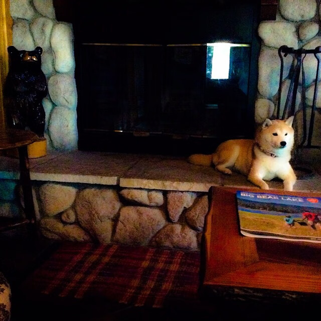 当巨星舞台遭遇集体齿轮，奥斯梅恩的孤勇与日本沙特体系的胜利