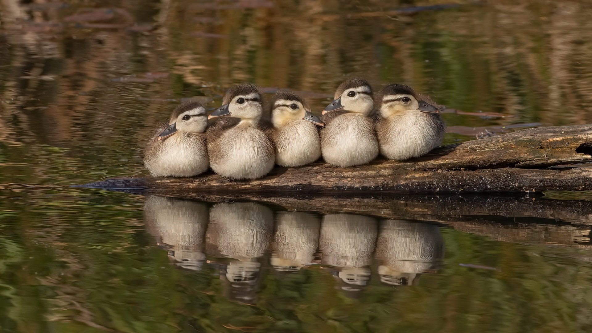 开云体育入口-当美式狂飙遇上东方铁壁，一场时空交错的季后赛焦点战
