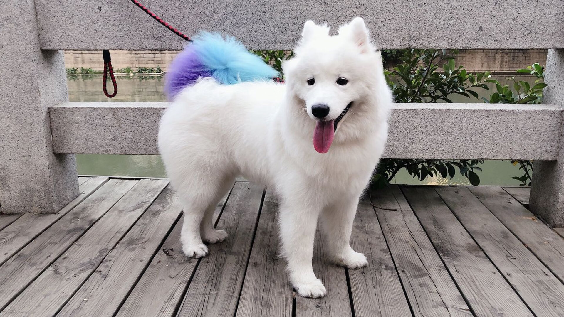 火种传承，沪上雨夜的红色冲锋