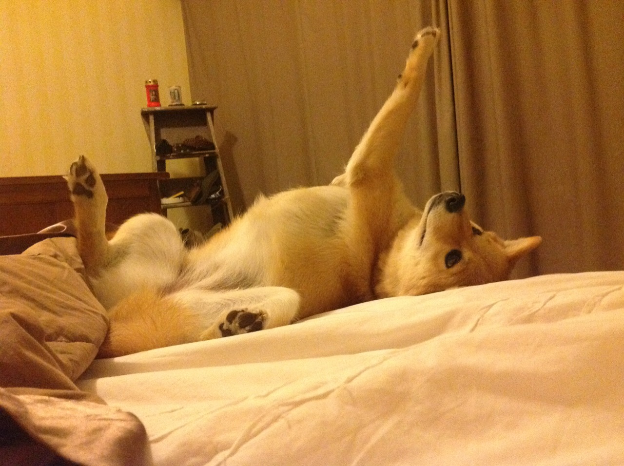 米切尔燃爆赛场！黄蜂蛰伤山西，淘汰赛惊险过关