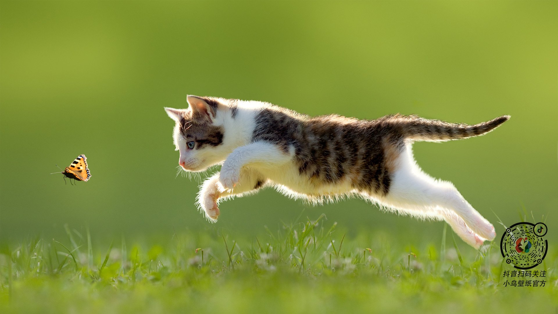 切特大场面先生，广厦对阵新疆生死战的冷血杀手