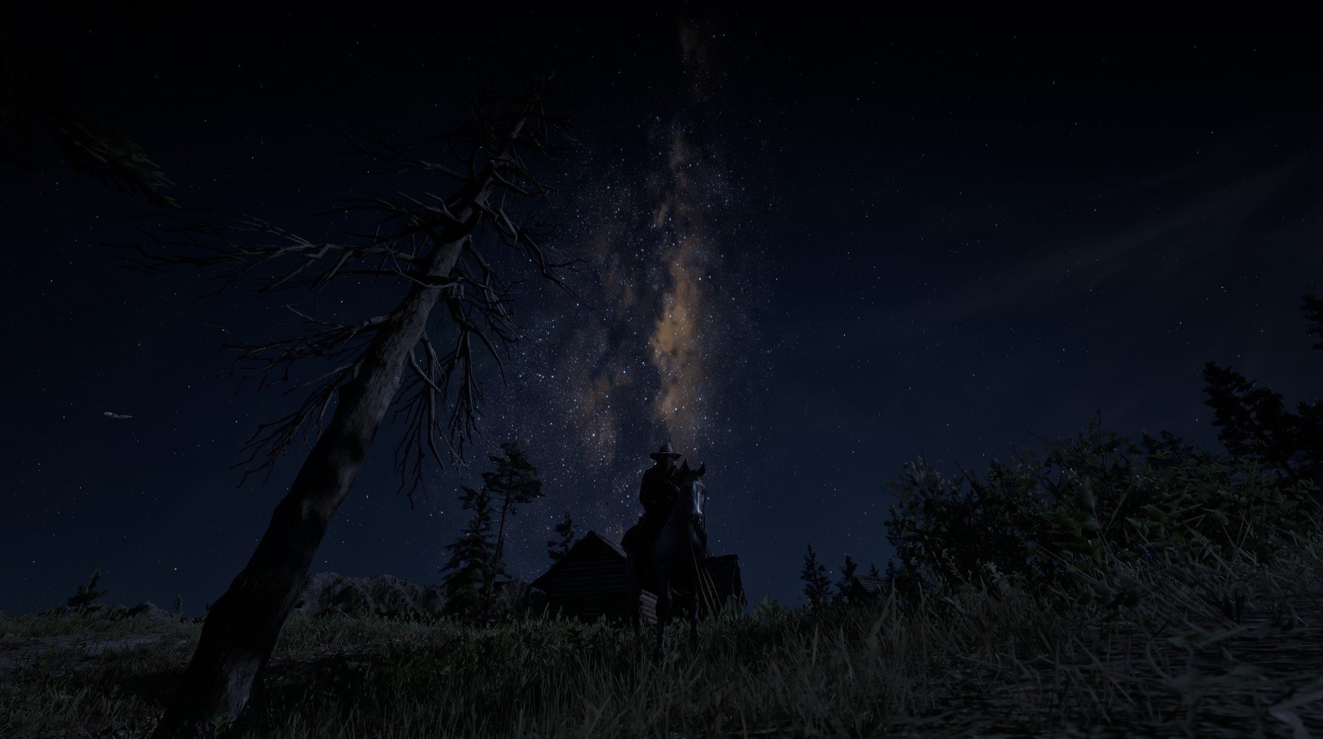 黑暗中的献礼，哈利伯顿与那不眠的世界排名争夺战之夜