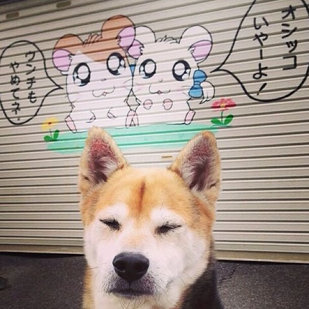 开云体育APP下载-双重控制力，英超争冠战与德国压制澳大利亚的战术共鸣