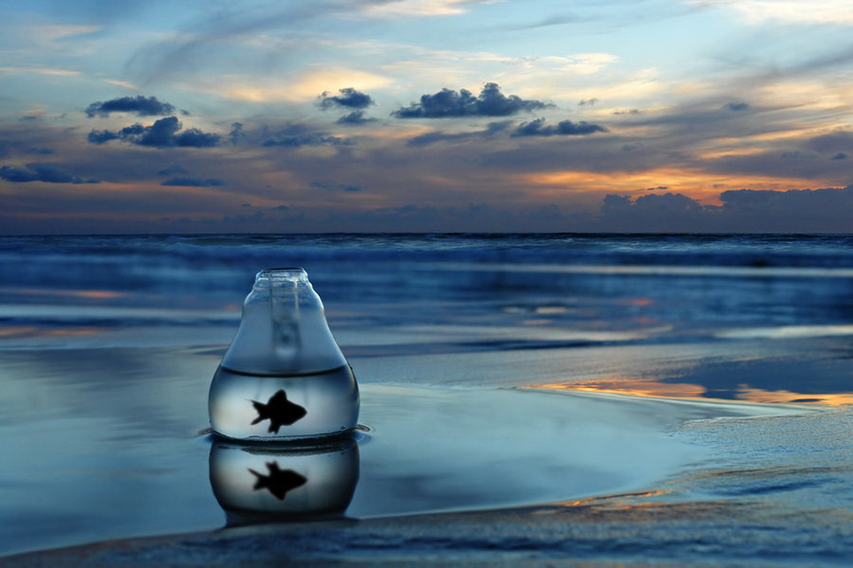 唯一的折痕,2026世界杯D组,当黄金舰队的航迹与蓝武士的剑光,在德布劳内的直塞中交于同一点