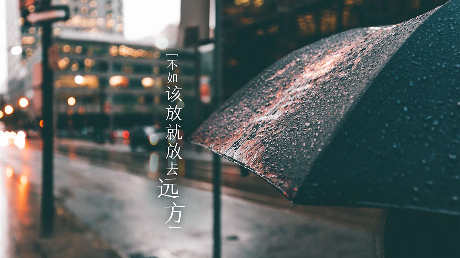 开云体育-孤悬的堡垒，范戴克在F组风暴中，为匈牙利守住了最后的尊严
