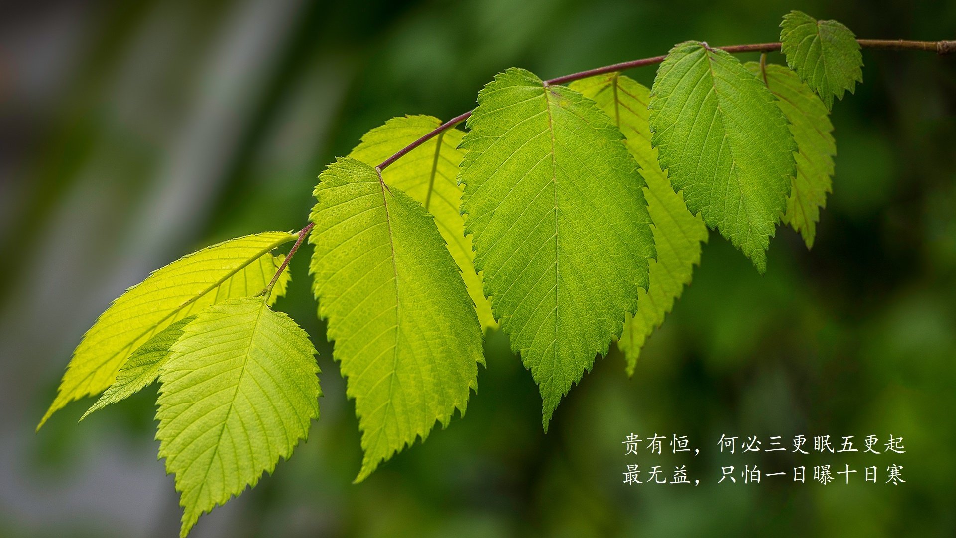 唯一性·热血战纪奇迹在加时绽放,越南绝杀厄瓜多尔,布罗佐维奇奏响绿茵最强音